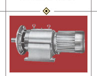 HEAVY DUTY THREE STAGE GEARED MOTORS